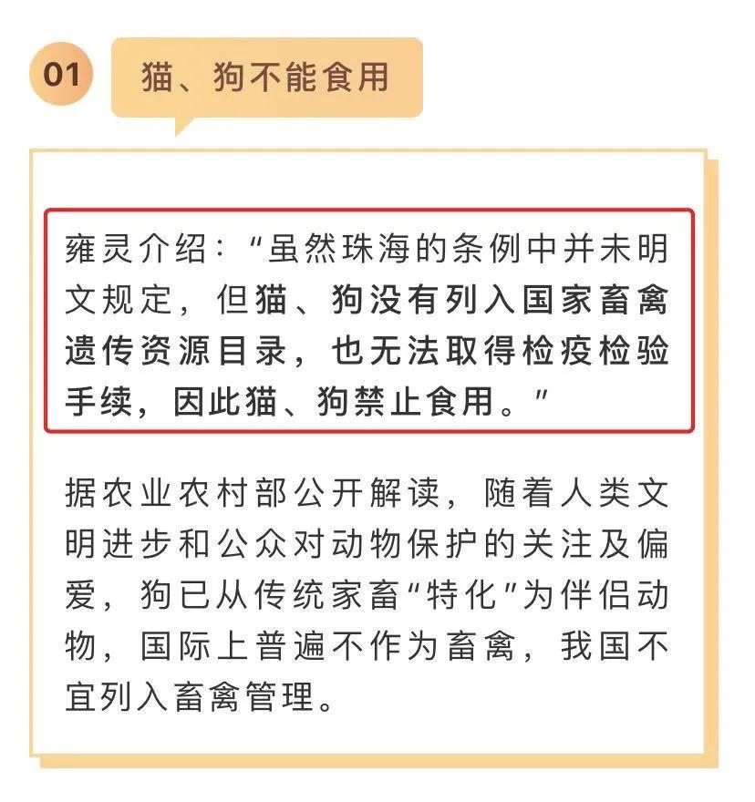 继深圳之后，珠海也正式立法禁食猫狗！