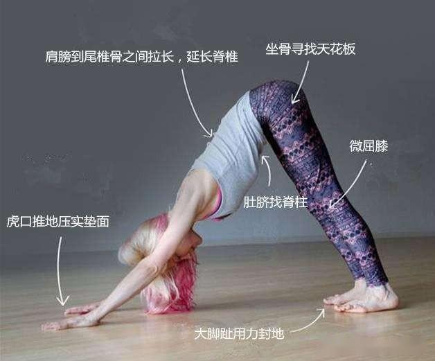 背部厚实怎么办?一组瑜伽体式消除背部赘肉,秀出迷人双肩