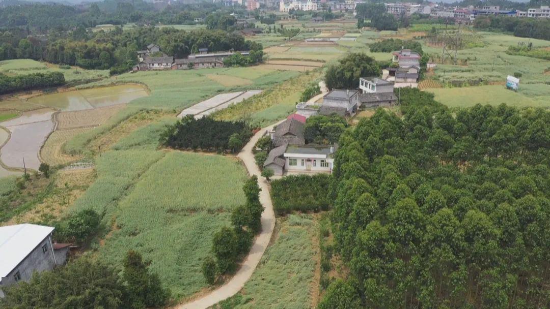 叙州区蕨溪镇gdp_叙州区蕨溪镇(2)