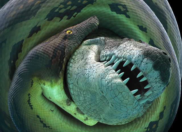原创尺寸夸张的巨大蟒蛇远古泰坦巨蟒,就连霸主鲸鱼被追上都难逃一死
