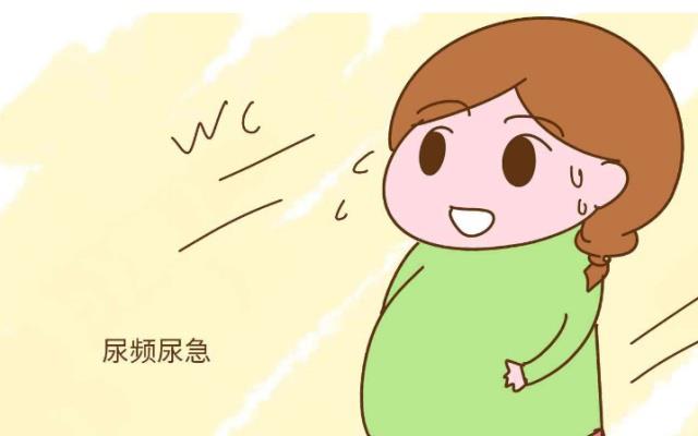 尿频尿急是什么原因引起的症状 c92fee1b65844fe88255376e96f6e58b.jpeg