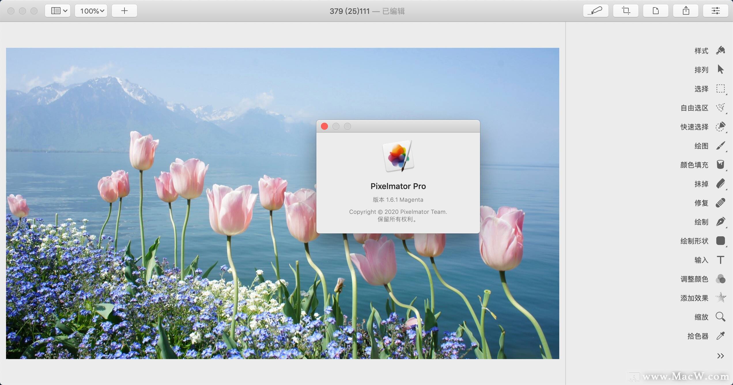 适用于Mac的Pixelmator Pro(可与ps媲美的mac修图软件)1.6.1中文激活版