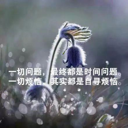 d1494f560da747da95051f4a1d5286d7.jpeg