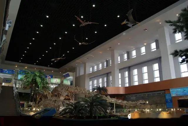 「专业组」中国地质大学(北京)：2020年共设置7个专业组