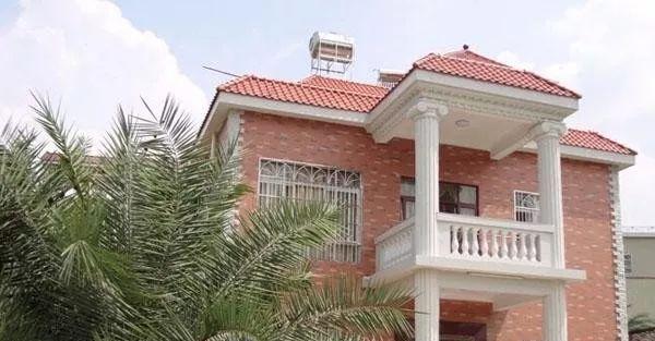 不爱城市爱农村, 2万月薪白领回乡盖别墅里外花了不到