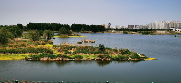 季春郊外踏青,灞渭湿地公园自驾游_渭河