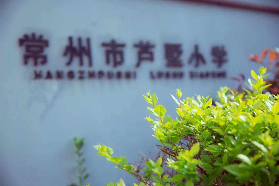 芦墅小学校园春色盛毓度小学春天的风,唤醒了沉寂的荆川小学.