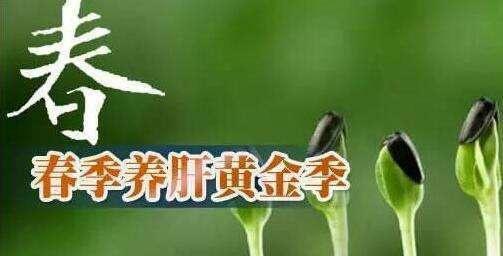 e56a9fb27227412995fc14f1b3516611.jpeg