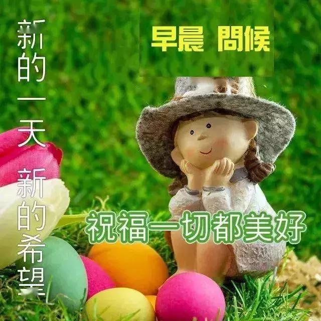 真诚的祝愿你万事顺意,快乐相随,天天都有好心情,早安