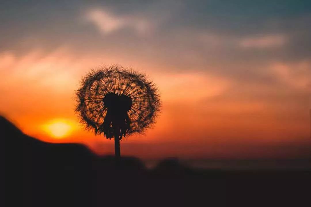 人活着,就要坦坦荡荡,自由自在,不要去过那种看别人脸色的日子.