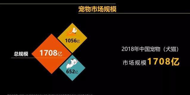 城镇养猫人口_人养猫过敏出红疹图