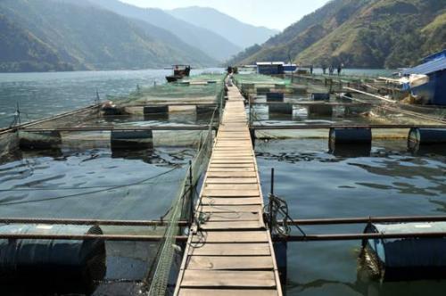 「高校」有两所不错的大学，其中一所不是211高校？水产类专业