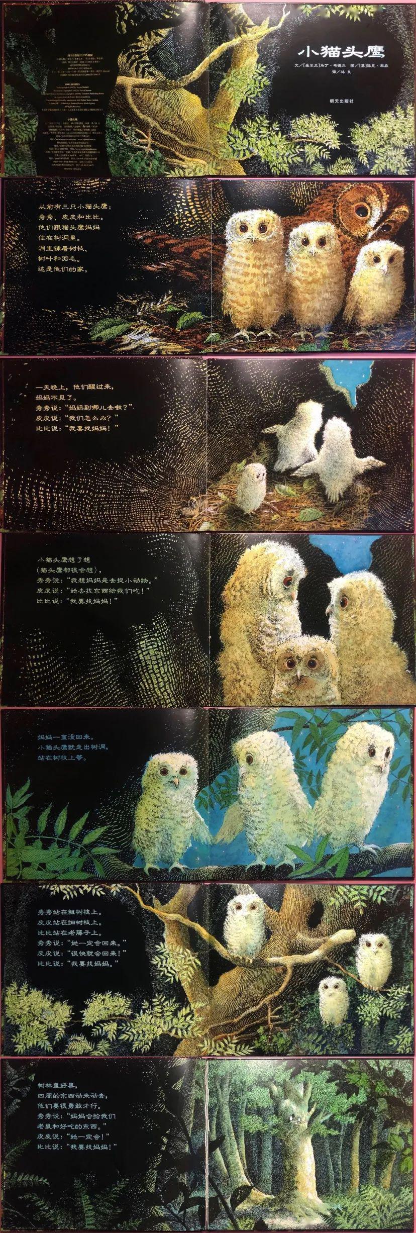 【品味书香 伴我成长】第七期《小猫头鹰》