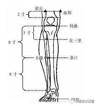 常用针灸穴位定位及主治详解学中医的基本操作技能