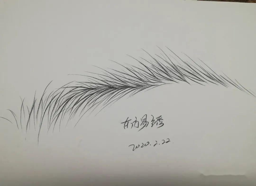 中国资深眉眼唇素描艺术：领绣高艺老师-领绣