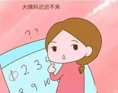 08d44e8ecca64c8eb37cdab6b81b0330.jpeg