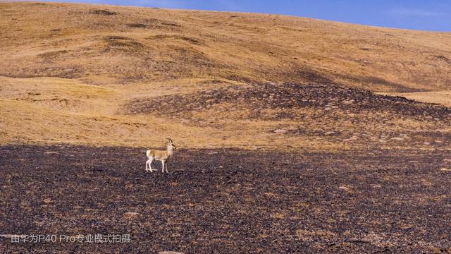 自然秘境大片曝光 华为P40 Pro带你感知世界尽头绝美风光