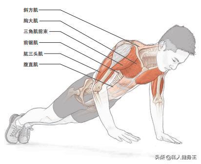 怎么快速增强手臂肌肉 0f96184e90924dedb595c7ce8af6f2dc.jpeg