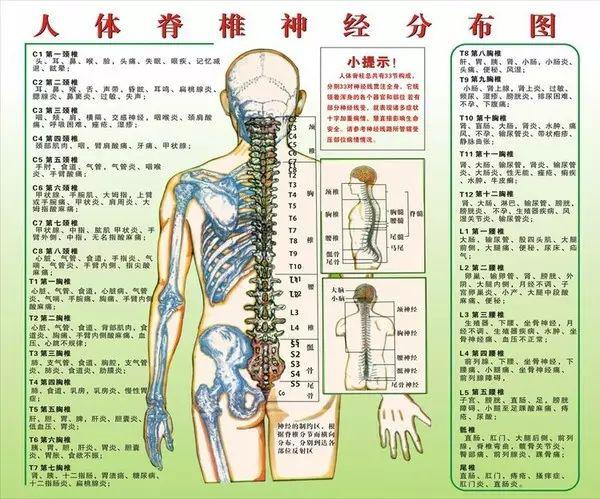 人体疾病与脊柱错位关系一览表