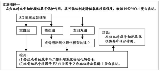 自由基的产生和作用 1bce9160d5d446c1bbc8b2ebebdcaa45.jpeg