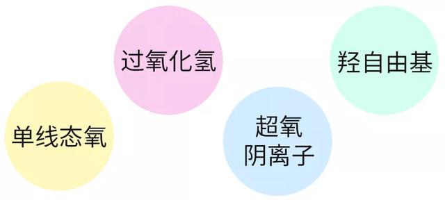 包括但不限于:过氧化氢,单线态氧,超氧阴离子,羟自由基等种类但是