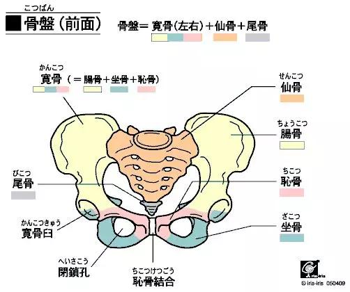 骨盆倾斜的自测方法,你学会了吗?