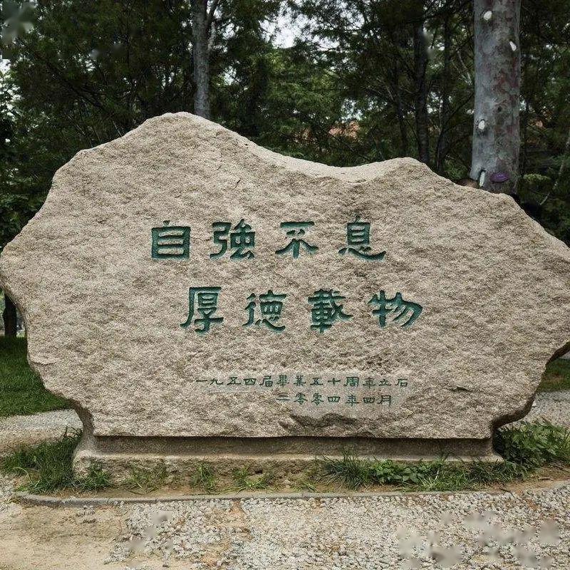 语文@裸分684清华学姐考前支招: 一直努力, 终有回报! 致疫情下的高三学子