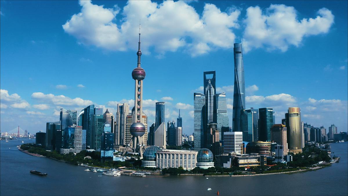 上海自贸区经济总量_上海自贸区片区划分图(3)