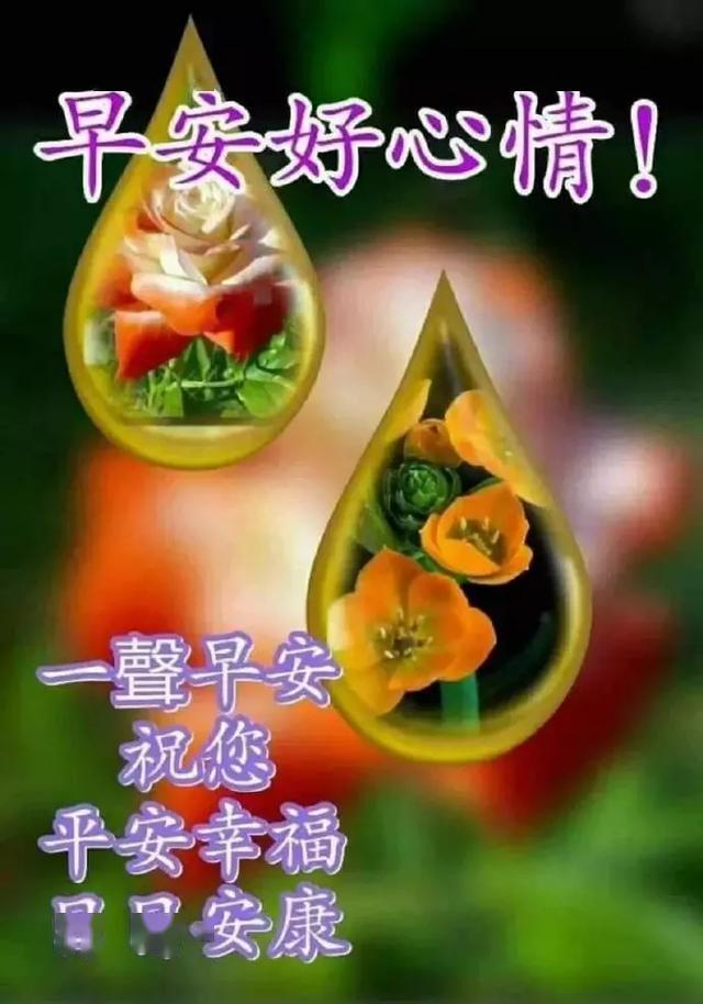 漂亮早上好问候语祝福表情图片早上好短信祝福语录最新版