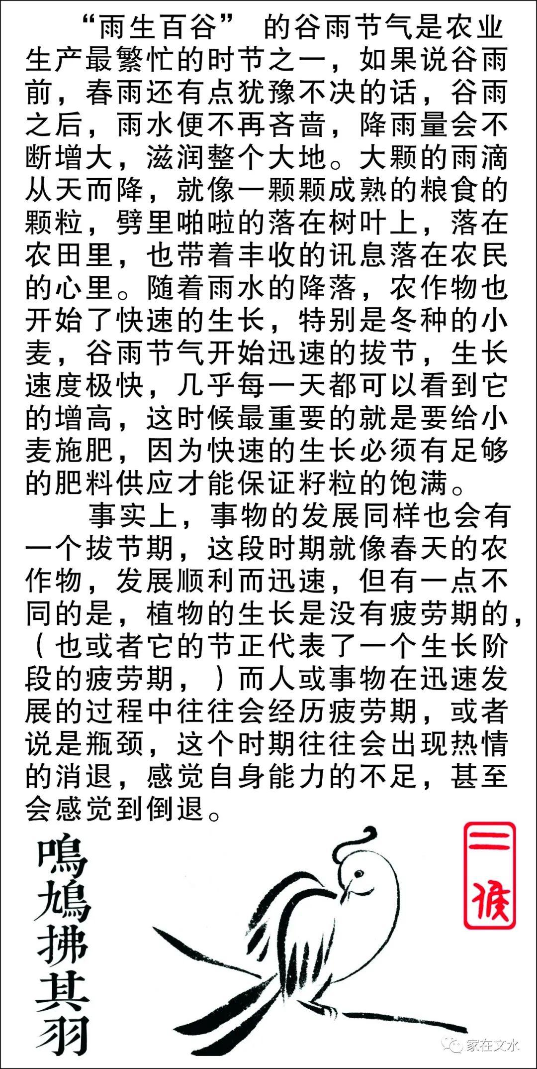 简谱谷雨_谷雨手抄报(2)