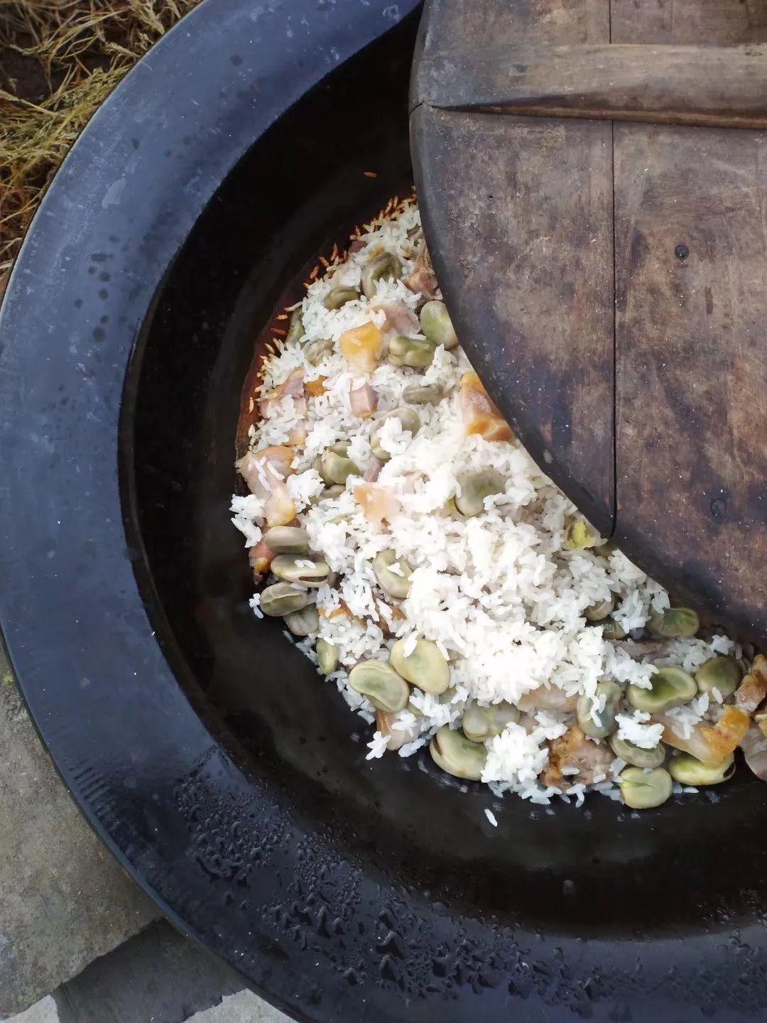 七都の野火饭我要去春天里撒点野