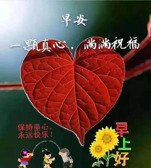 每天拥有一份好心情,生活就会幸运和快乐的,早安!