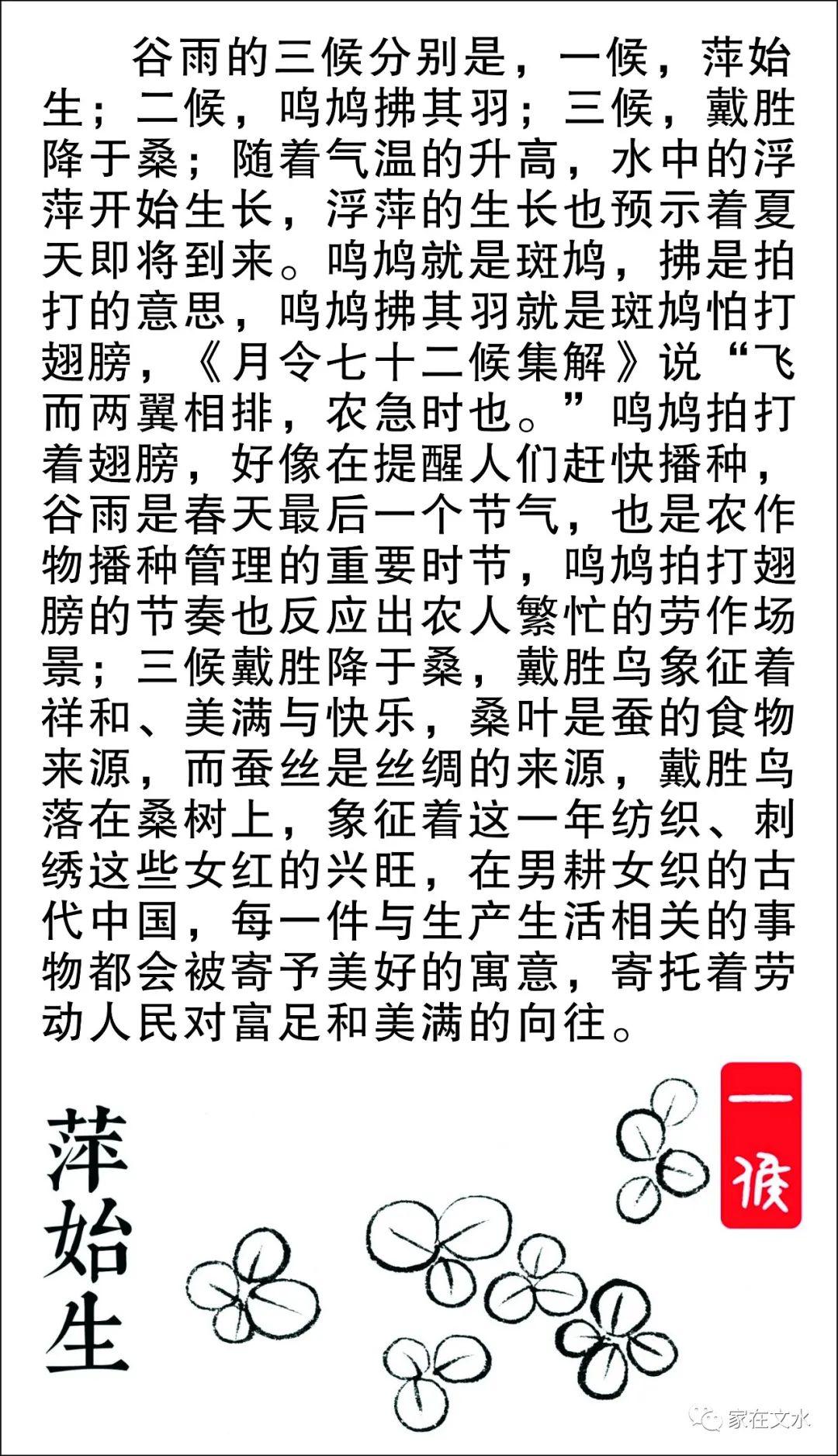 简谱谷雨_谷雨手抄报(2)
