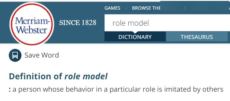 definition-of-role-model-other