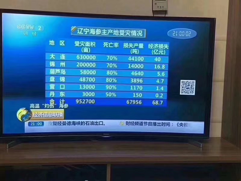 文章配图-2