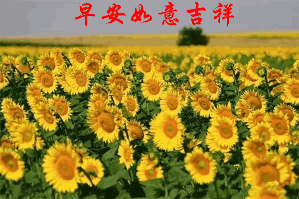 600_400