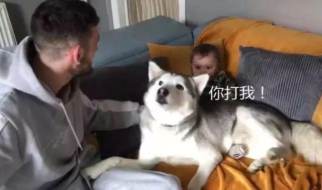 6ca1a4b093d949f6a04577fa0395e955.jpeg