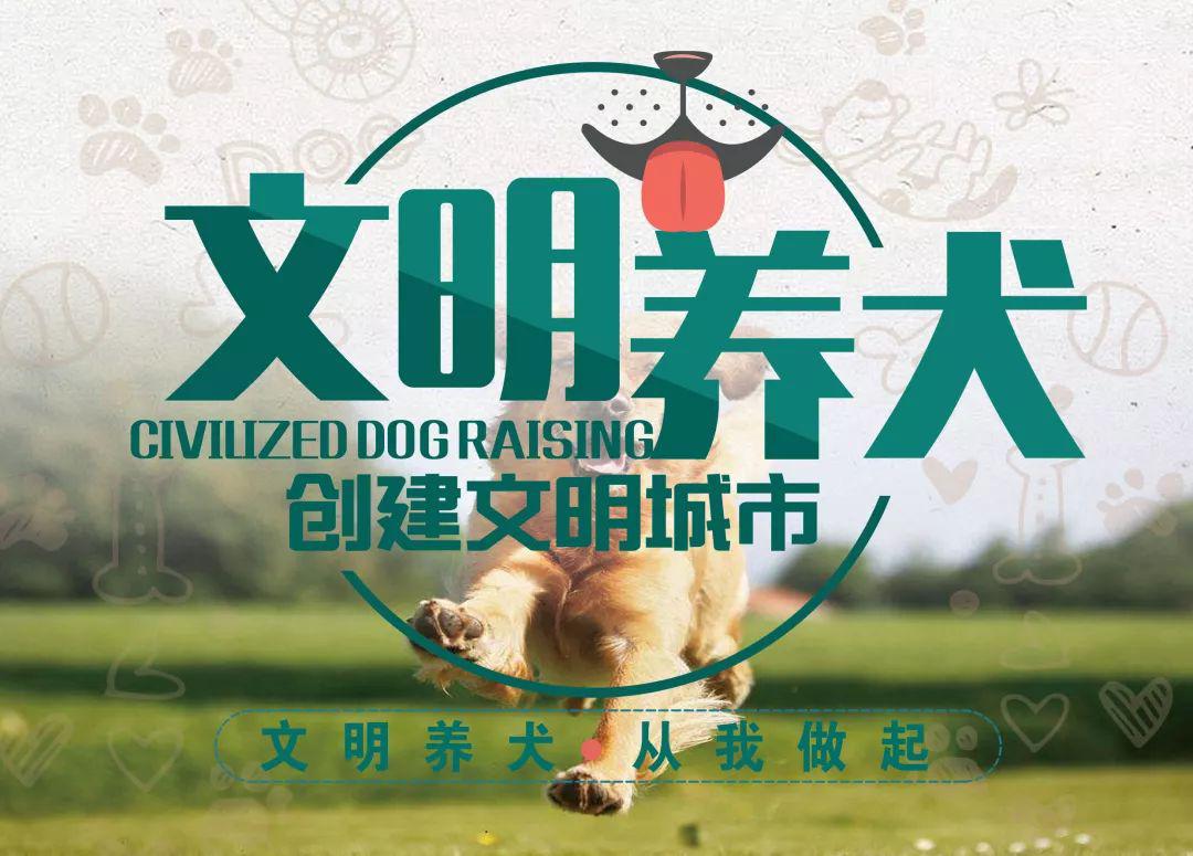 文明养犬从你我做起 任丘市公安局开展规范养犬宣传工作