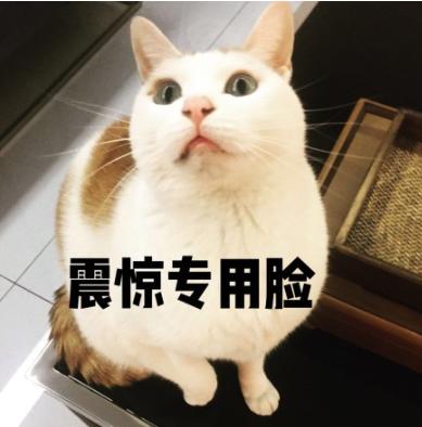 737ffc3183414219ad01c0f659c9ef6d.jpeg
