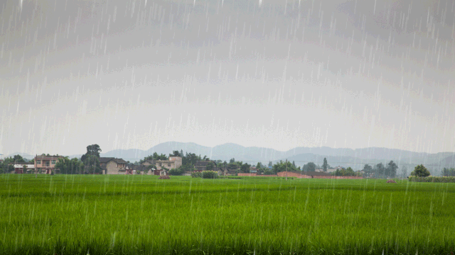 谷雨节气的到来意味着寒潮天气基本结束,气温回升加快,这也大大有利于