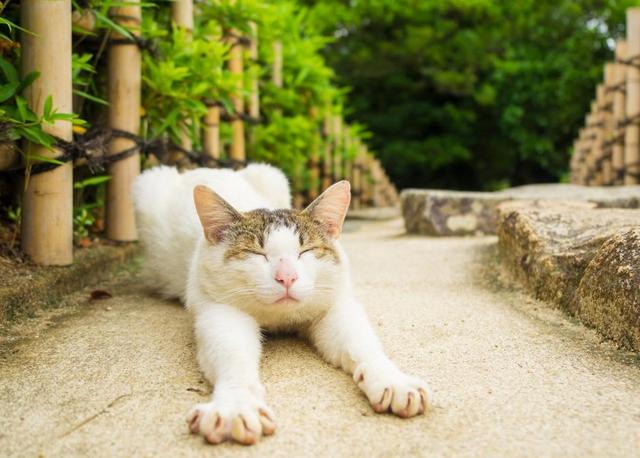 #身高#看这三个部位就知道,家长平时要多留意孩子将来高不高