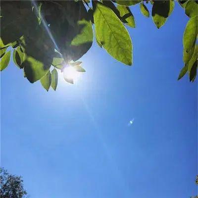 微信头像图片好看唯美 7973dc983a4c4a2fa75a2758fdfe7d22.jpeg