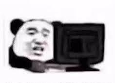 让人头疼的AP考试终于给官方指南了！