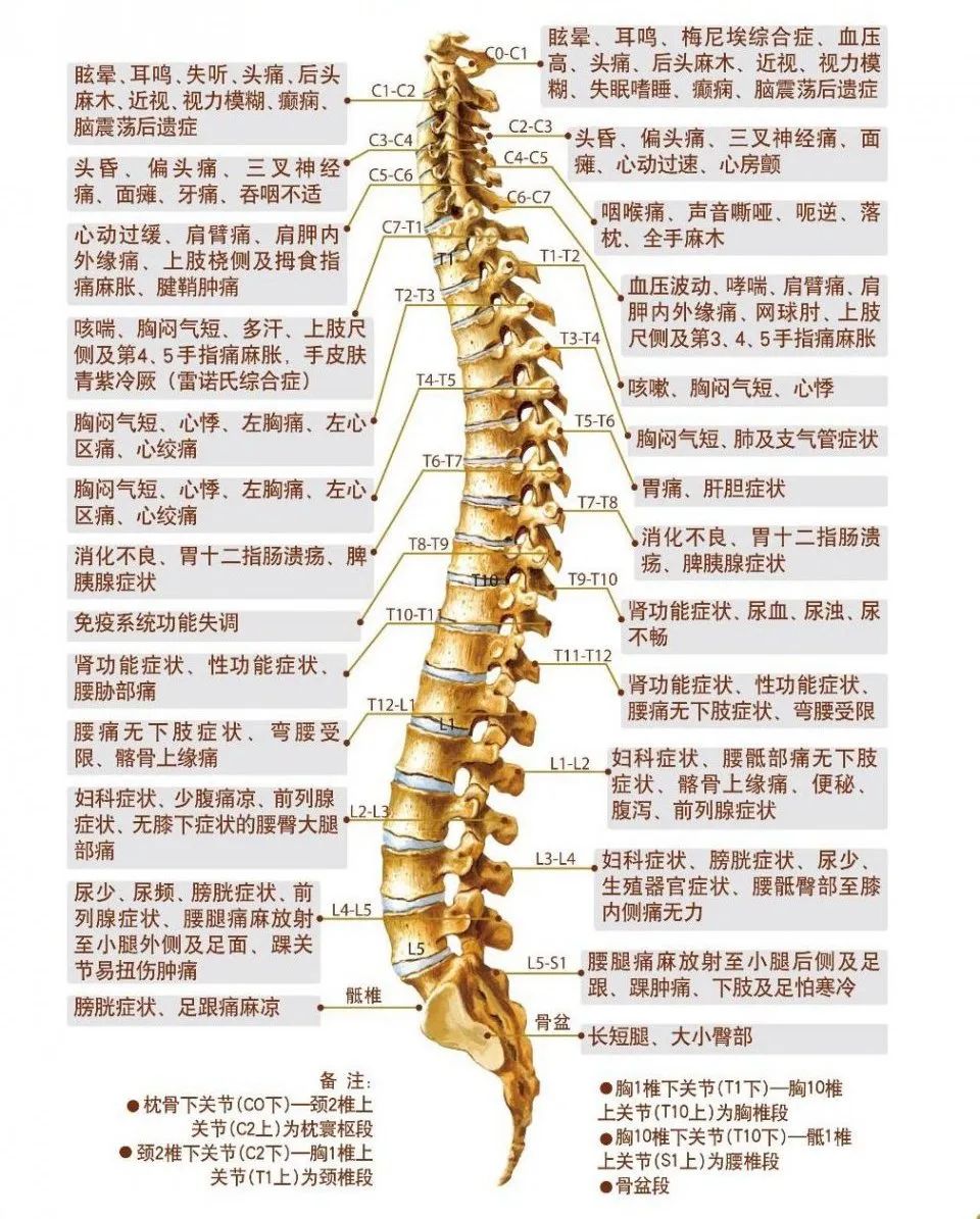 孩子记性不好,多半是颈椎病惹的祸!