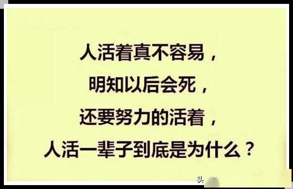 明知以后会死还要努力的活着人活一辈子到底是为什么