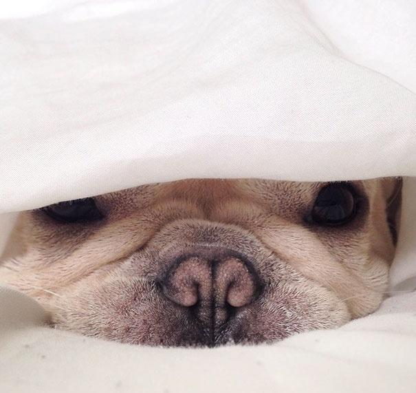 怎么卖萌照片 811925d267bf4b5681259a7d1d22ec10.jpeg