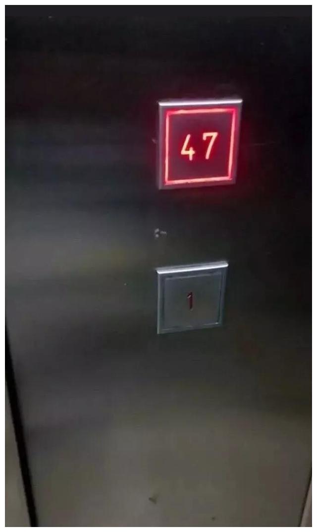 83e1cef9aff74b62a25fece9732f8ab1.jpeg
