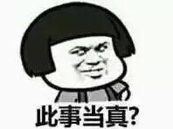 让人头疼的AP考试终于给官方指南了！