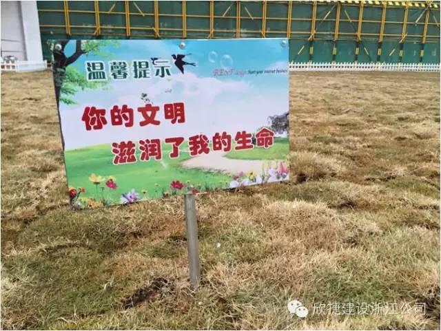工地搞成这样,是要相亲啊!
