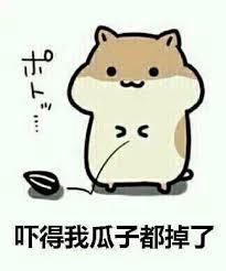 让人头疼的AP考试终于给官方指南了！